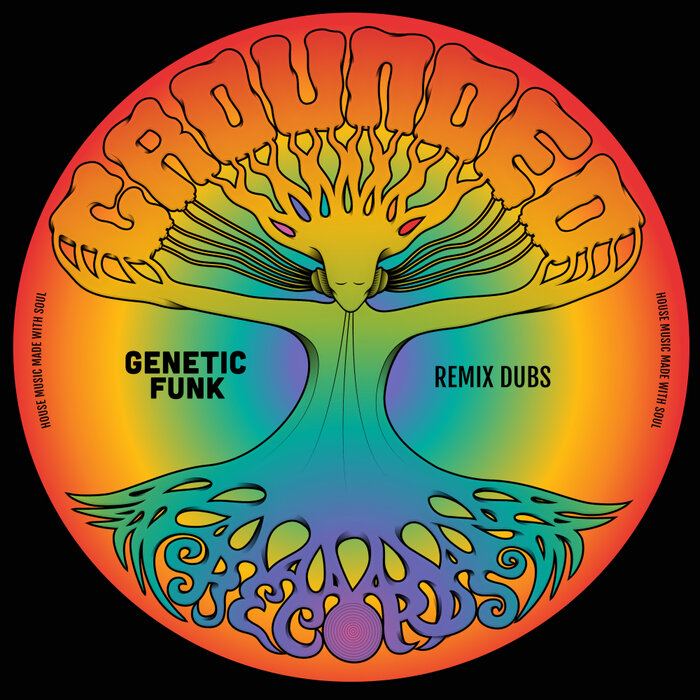 VA – Genetic Funk Remix Dubs
