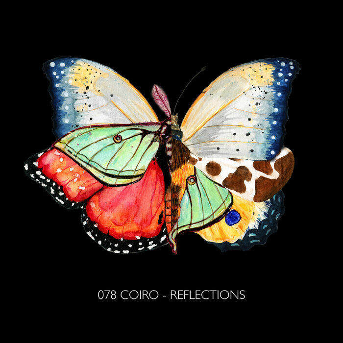 Coiro – Reflections