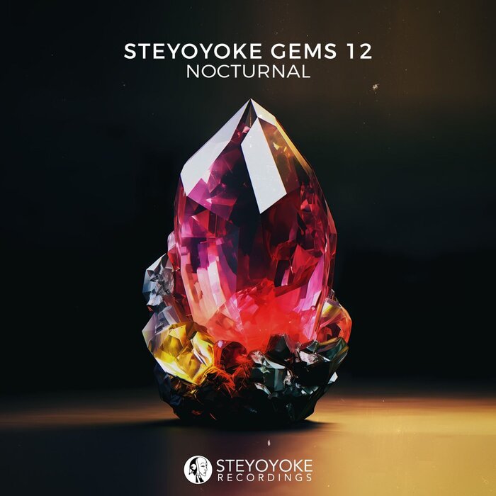 VA – Steyoyoke Gems Nocturnal 12