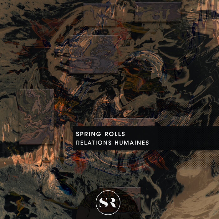 Spring Rolls – Relations Humaines