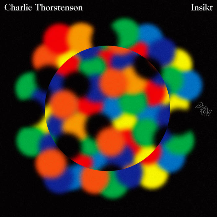 Charlie Thorstenson – Insikt