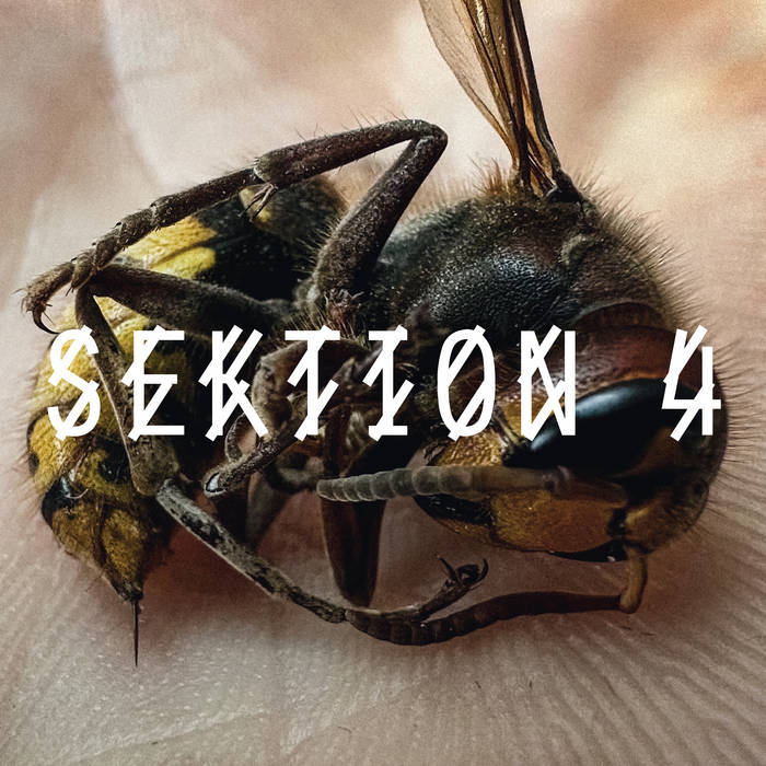 VA – SEKTION 4