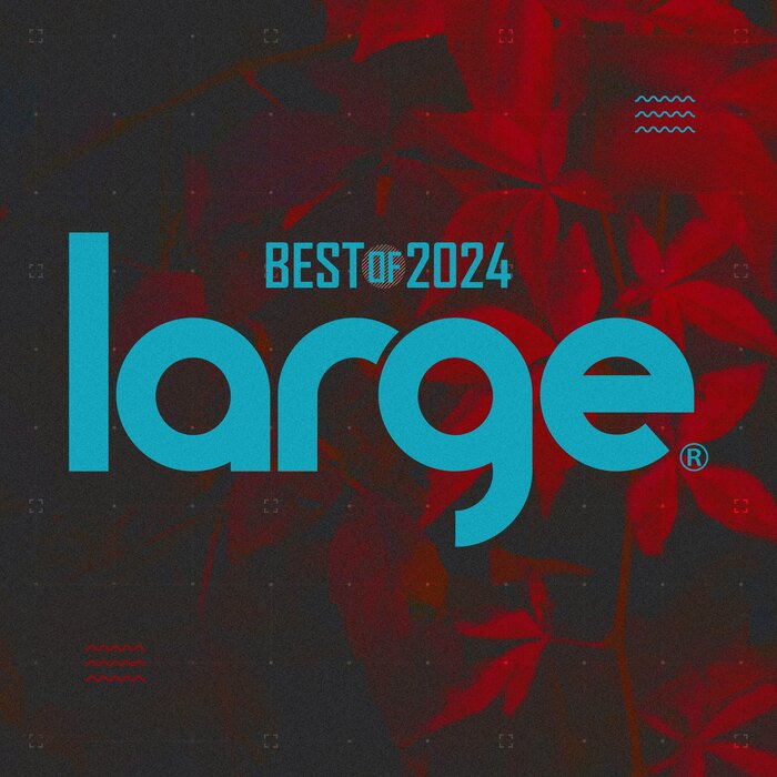 VA – Large Music Best of 2024