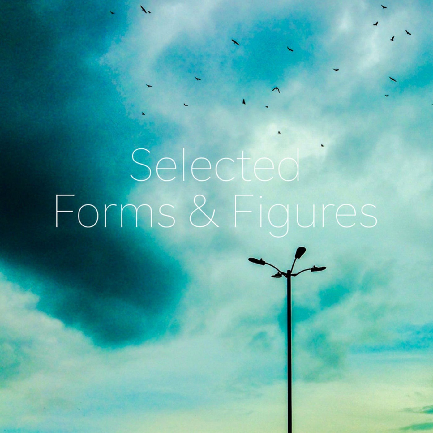 VA – Selected Forms & Figures 2024