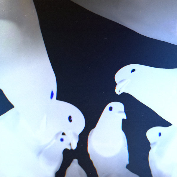 Stimming – Friedrich