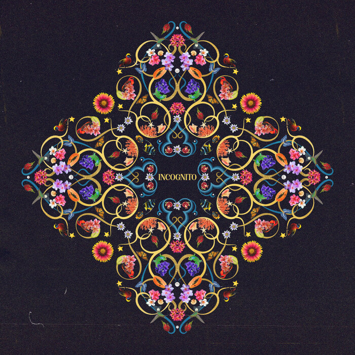 Mitekiss – INCOGNITO