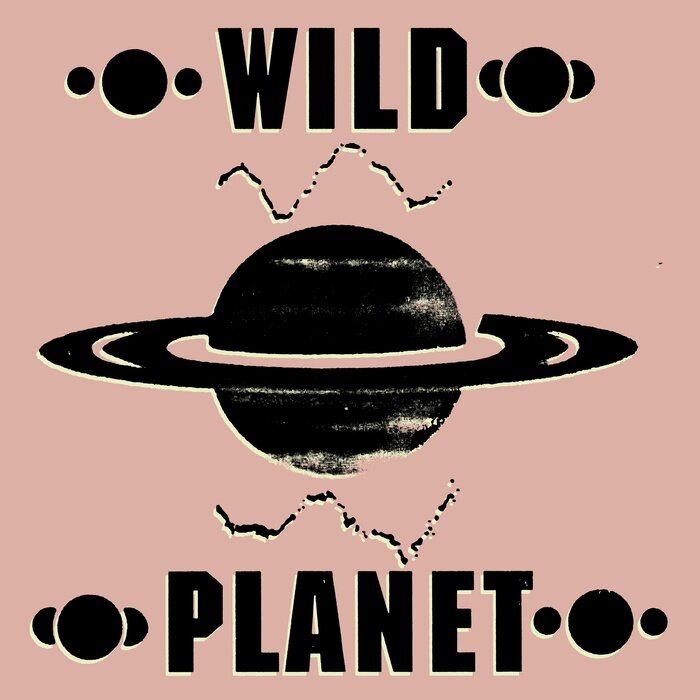 Wild Planet – Transmitter