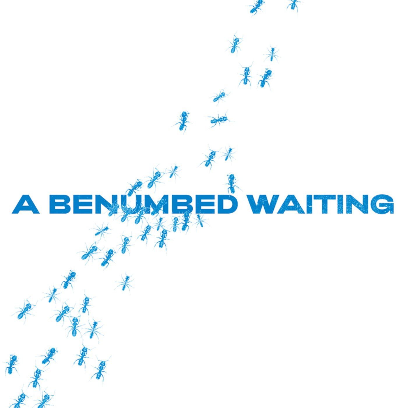 VA – A Benumbed Waiting