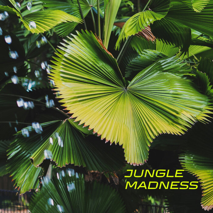 Thing – Jungle Madness