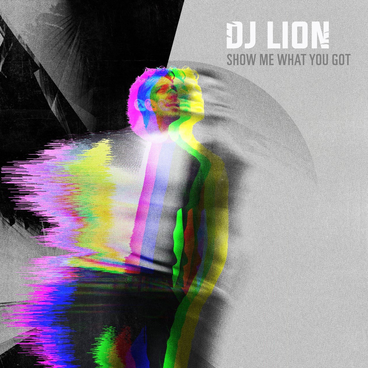 DJ Lion – Show Me What You Got