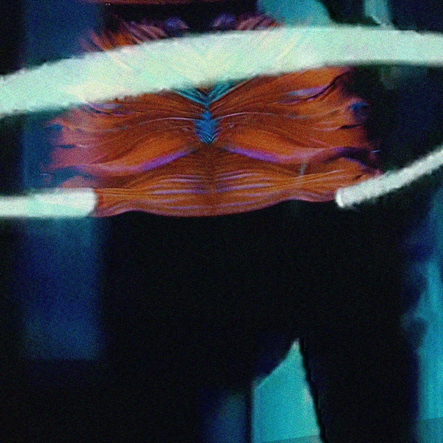 Brayan Valenzuela – Mi Pez Murió Anoche