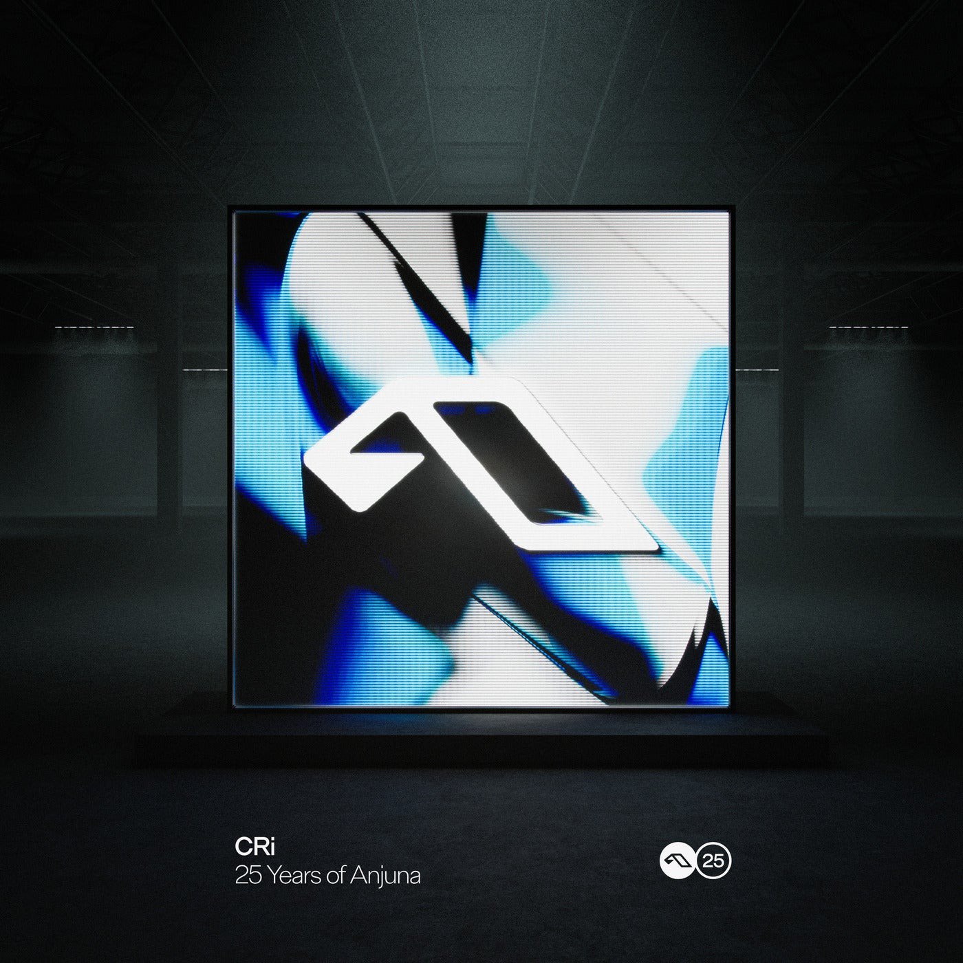 VA – 25 Years Of Anjuna Mixed By CRi