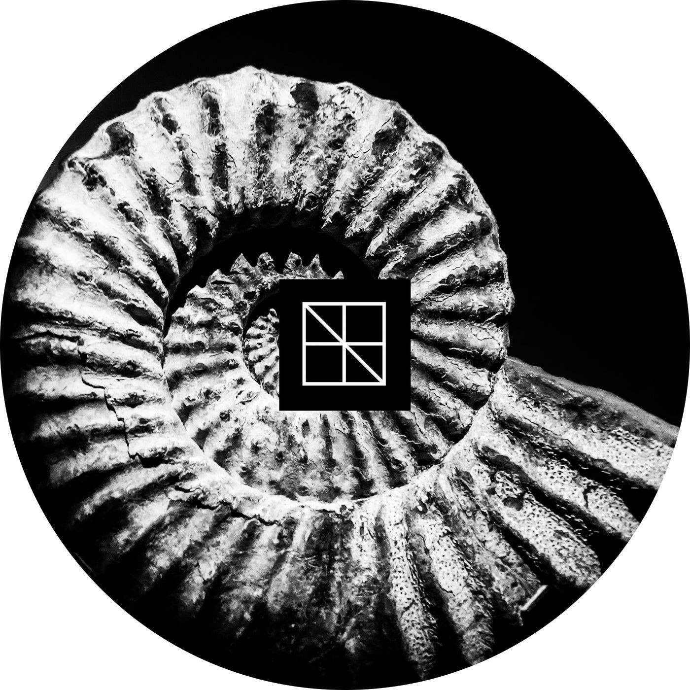 Hioll – Morphogenesis