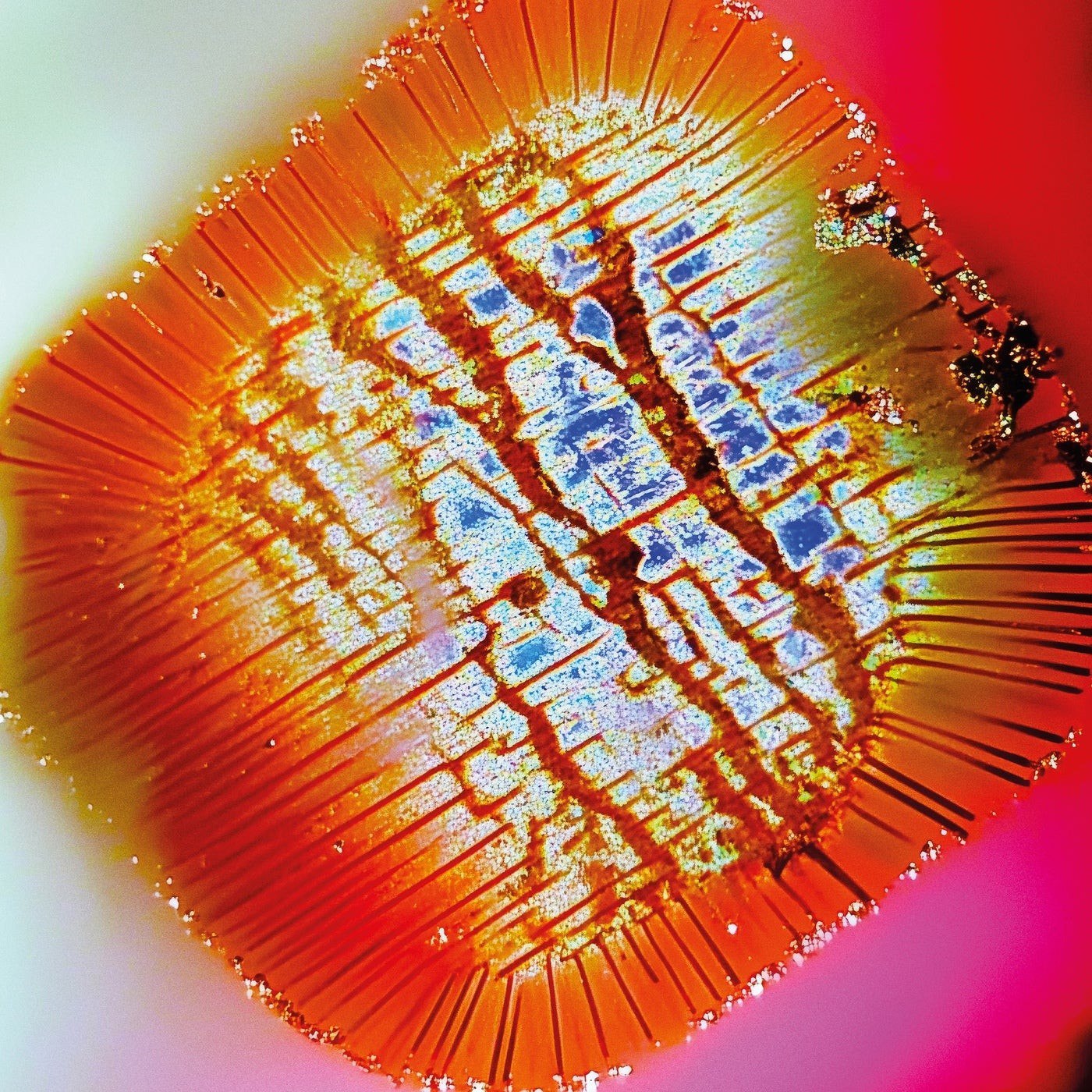 Mac Declos – Nothing stands still.