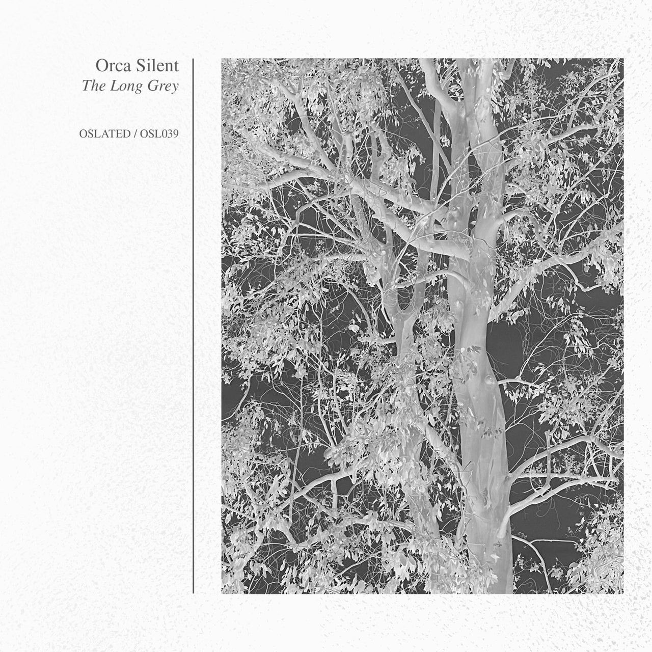 Orca Silent – The Long Grey