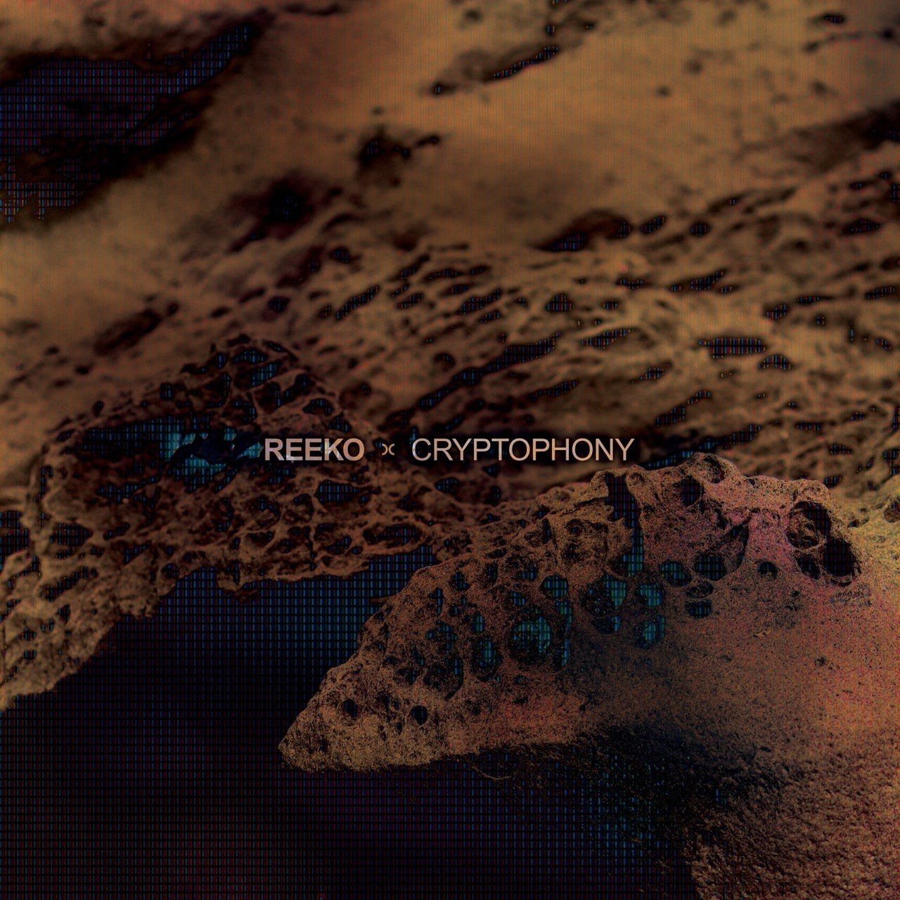 Reeko – Cryptophony