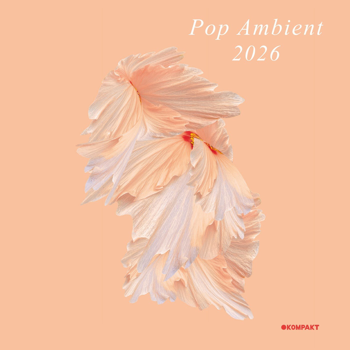 VA – Pop Ambient 2026