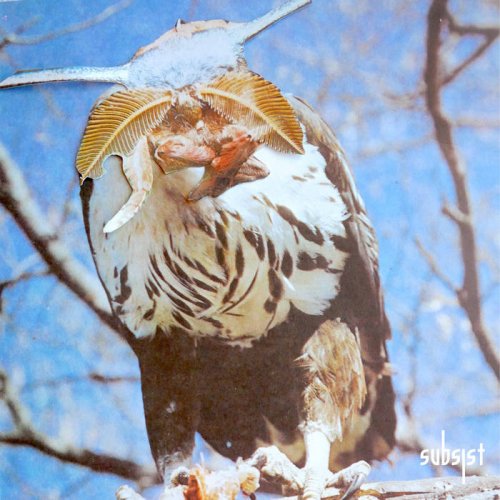 RVDMNTL – Morfologia del Caos.