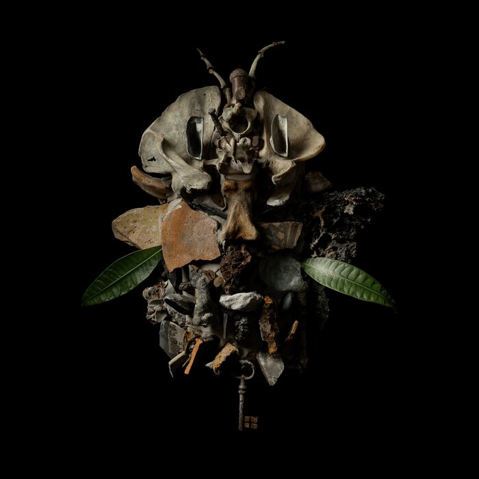 Francesco Fabris – DISPLACES