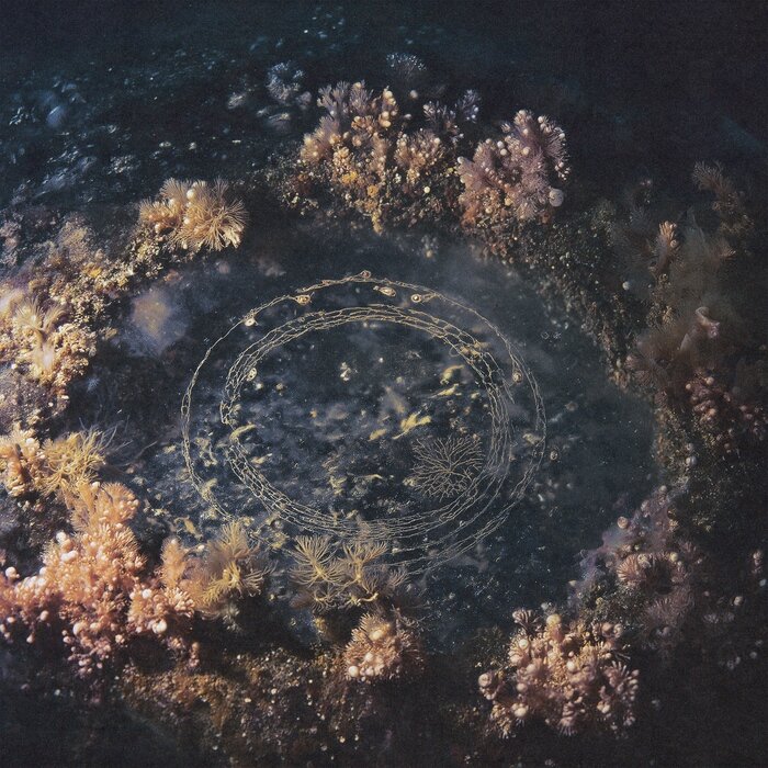 Joline Scheffler – Vesica Piscis