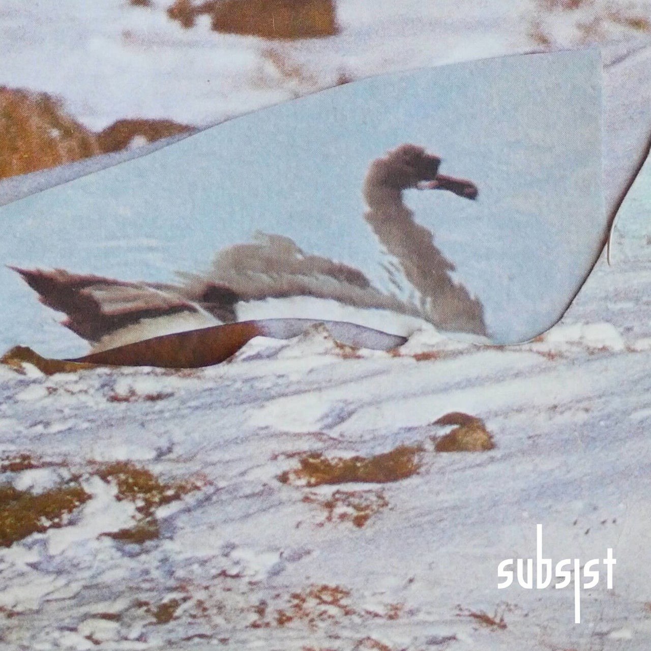 Van Der – Midnight Zen