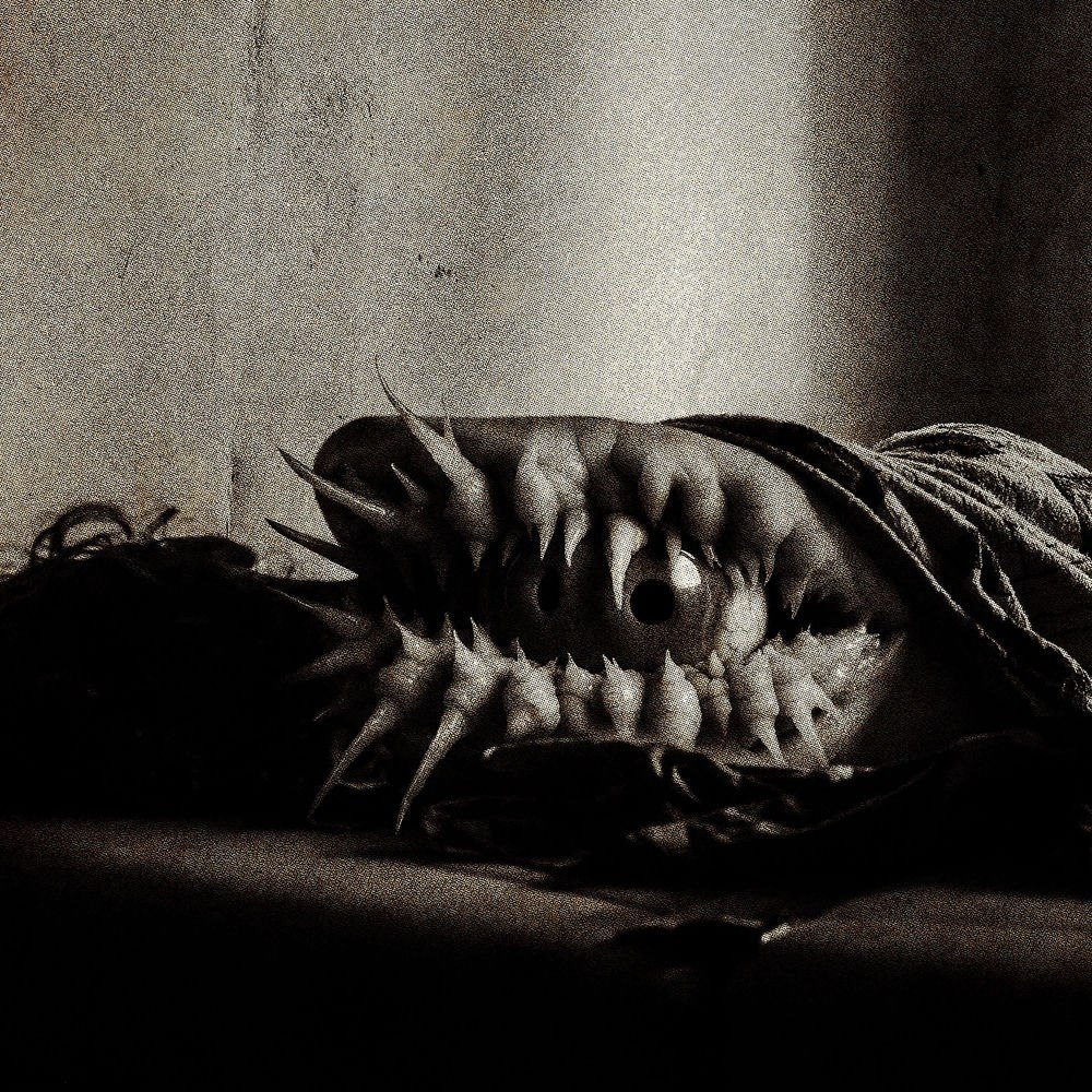 Unrealnumbers – Encounter