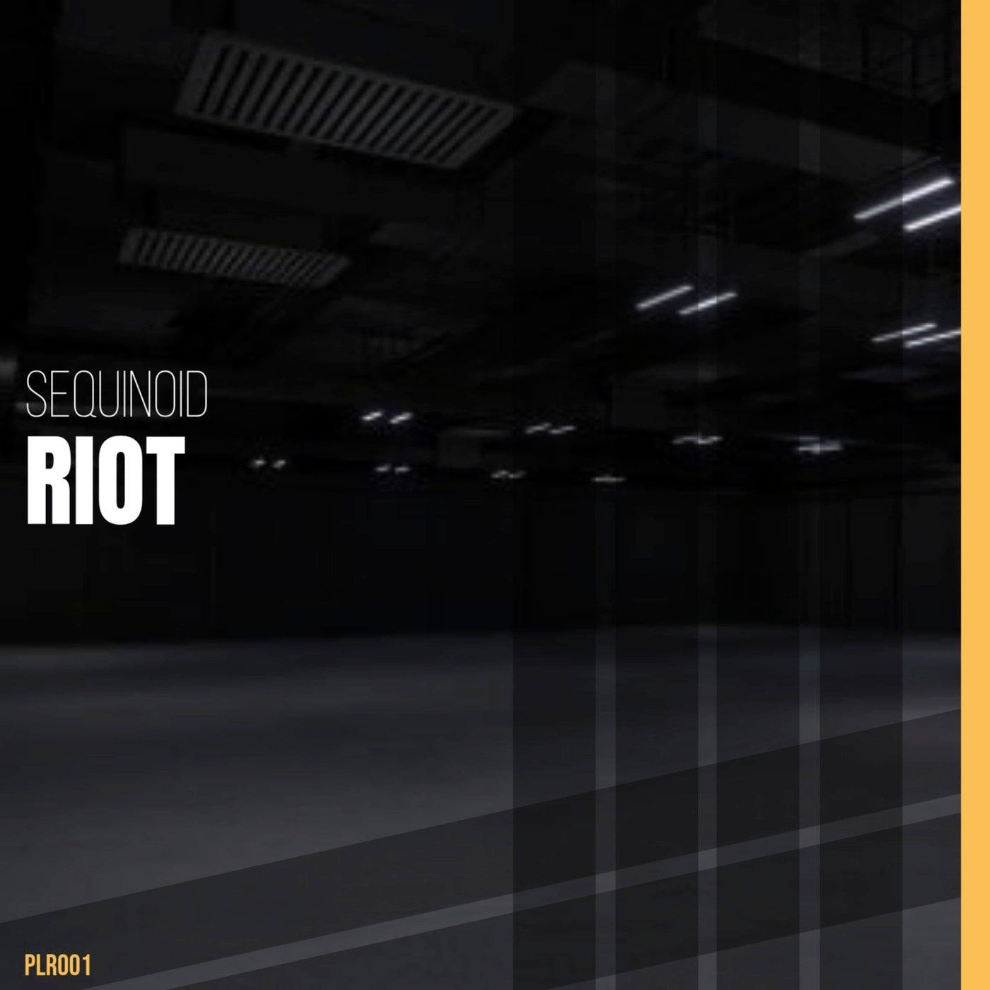 Sequinoid – Riot