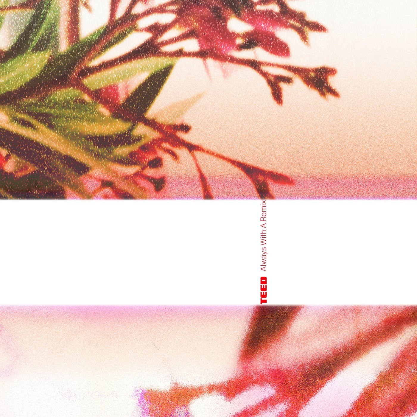 VA – Always With A Remix