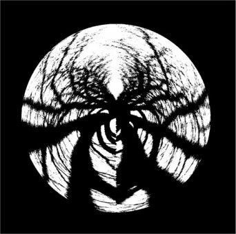 Phasmid – Dark Forest Theory
