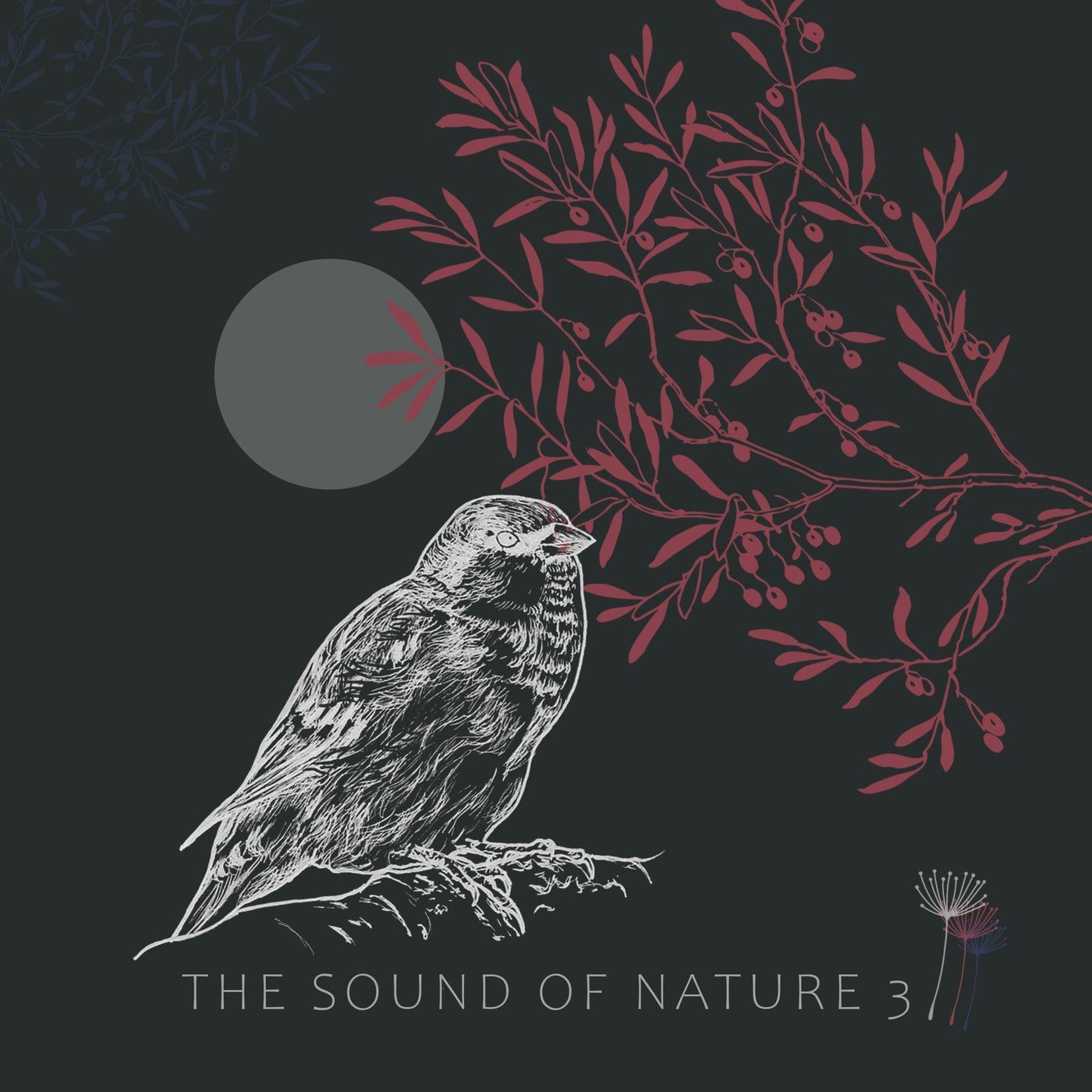 VA – The Sound of Nature 3