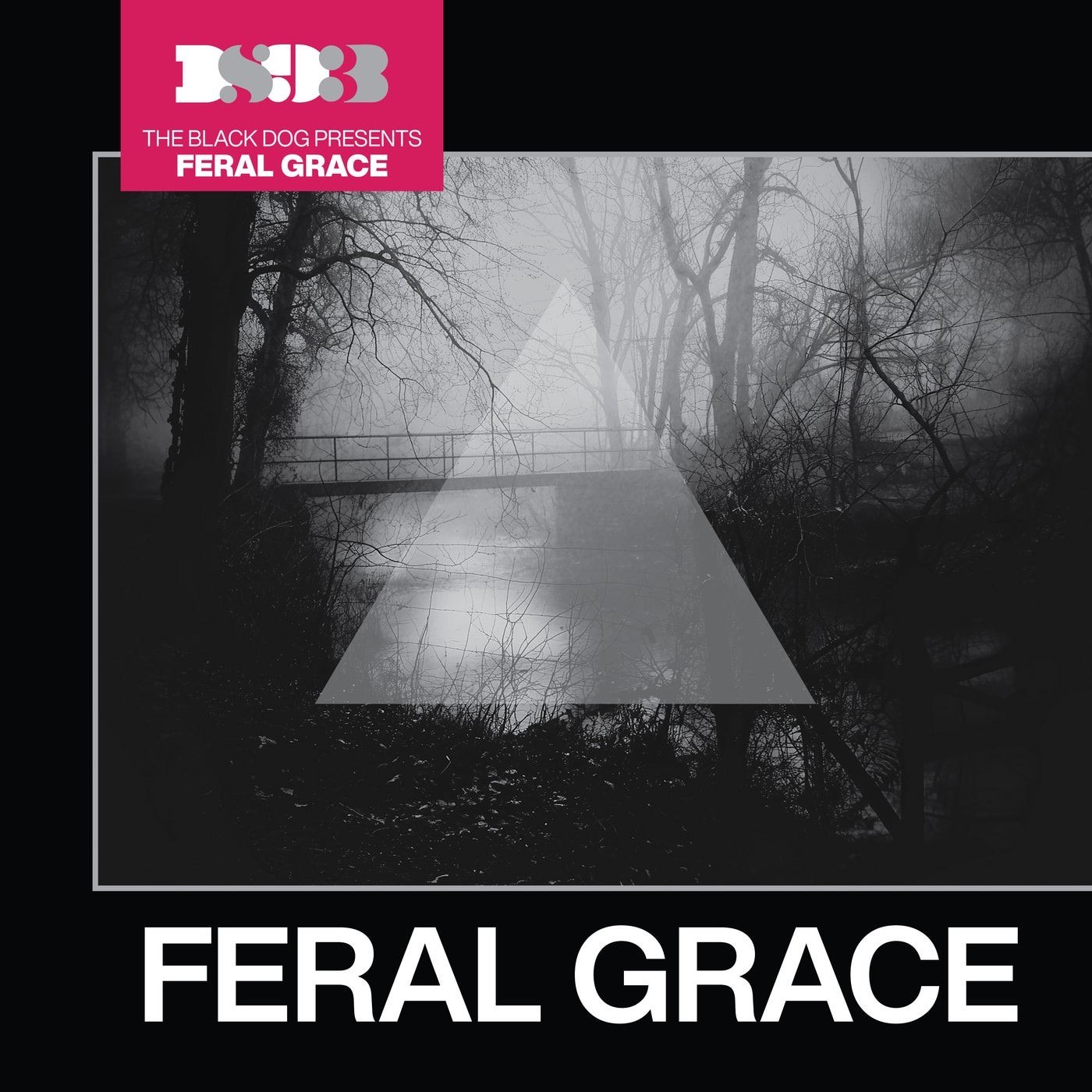 The Black Dog – Feral Grace