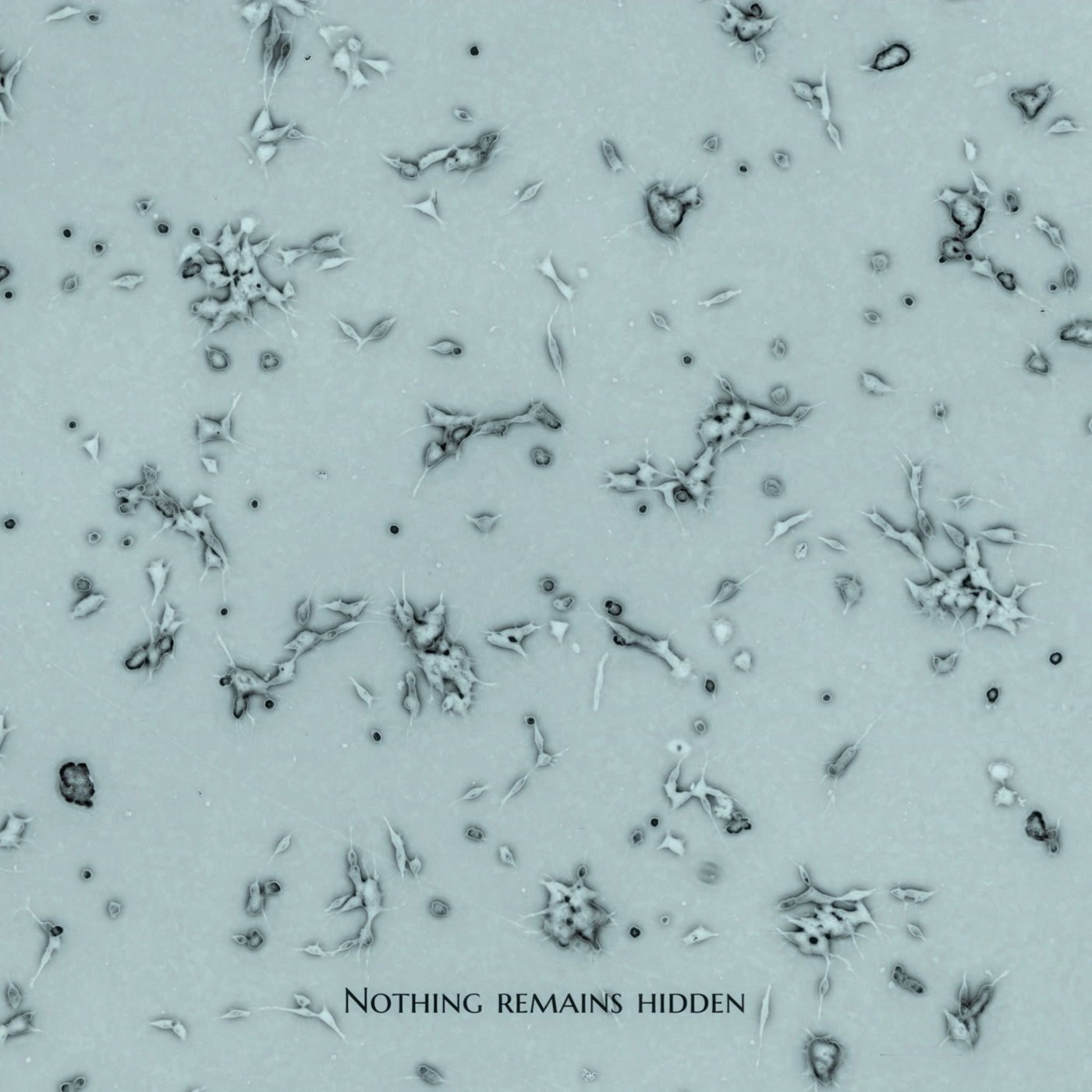 Brendon Moeller – Nothing Remains Hidden