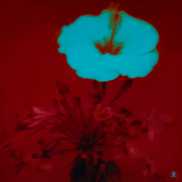 John Beltran – Sunrise and the Life We Live
